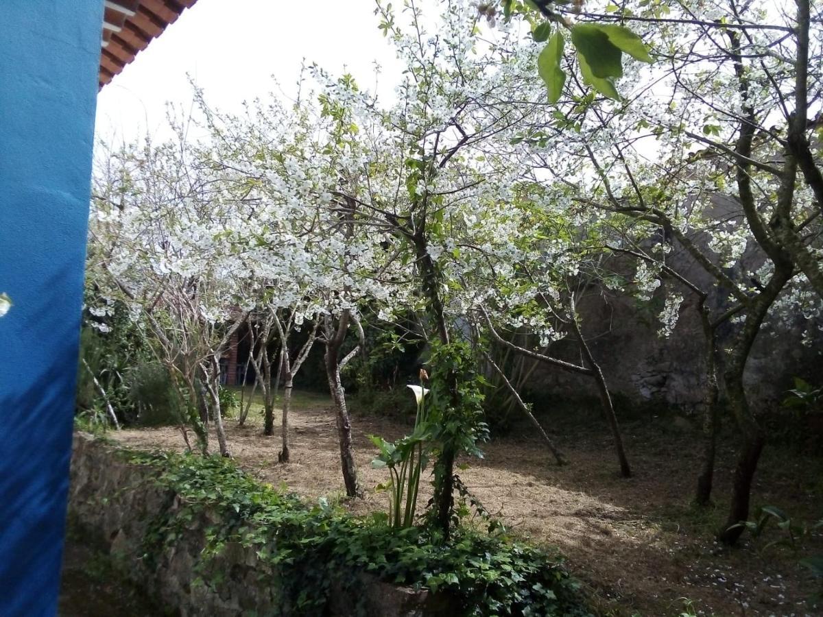Sobral  Casas Altas Obidos - Al 빌라 외부 사진