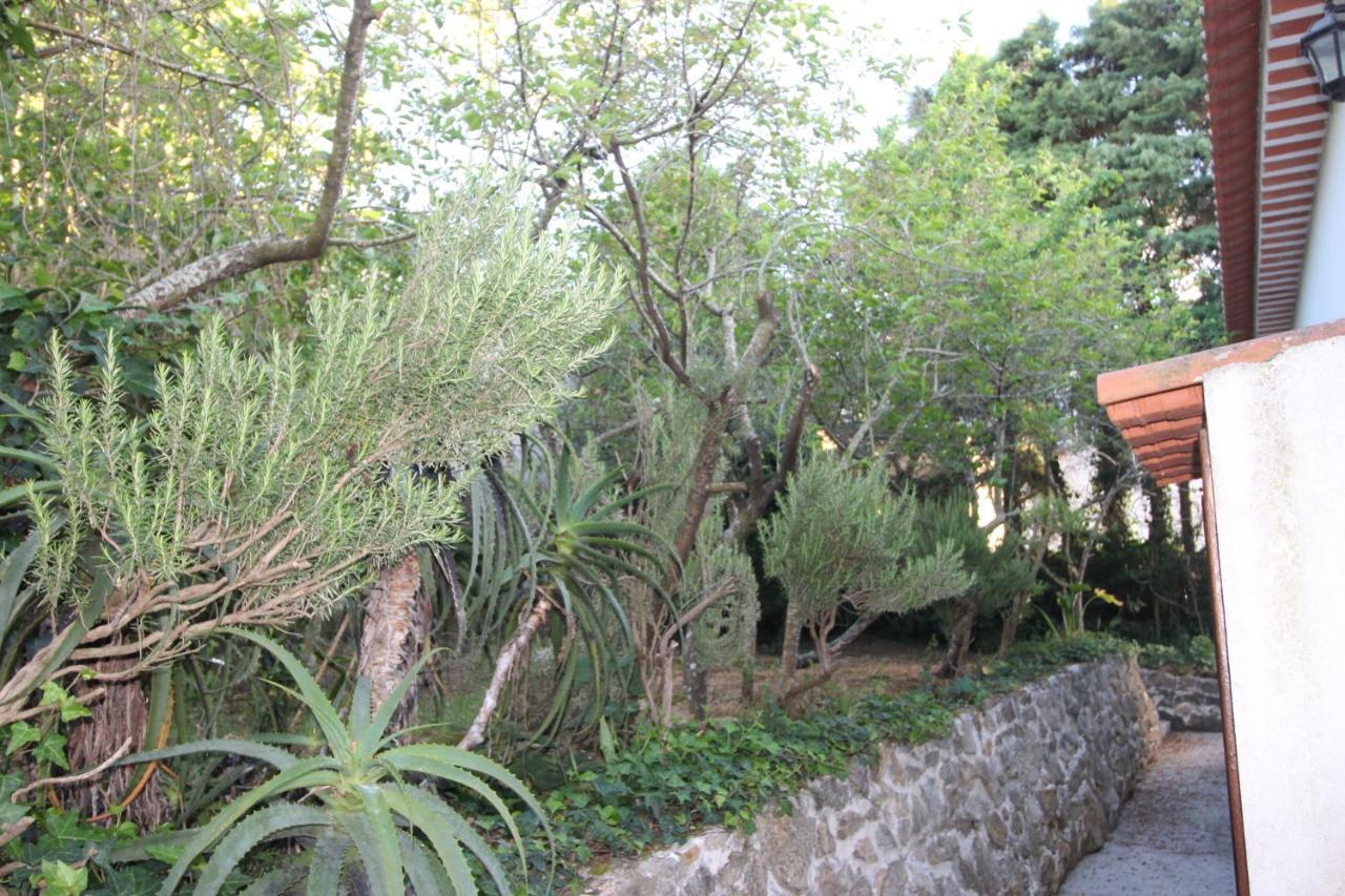 Sobral  Casas Altas Obidos - Al 빌라 외부 사진